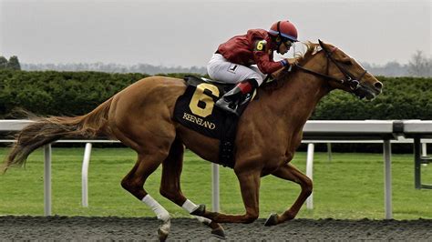 horse betting each way|each way meaning horse racing.